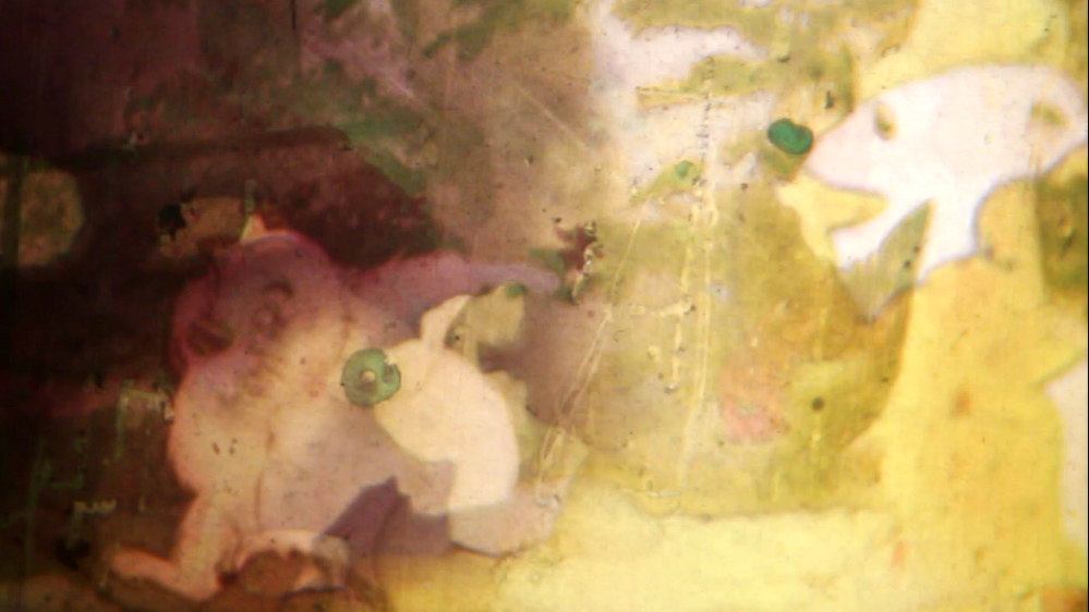 Hand Painted Film Workshop