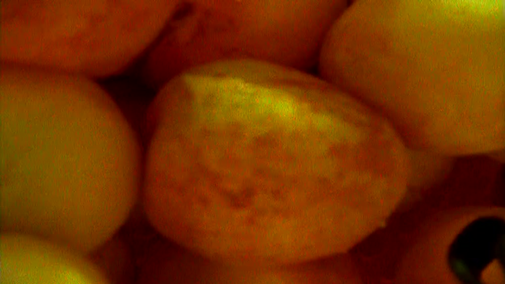 Apricot Jam-Large 540p