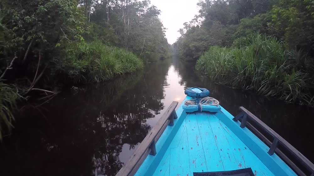 Borneo s Heart of Darkness
