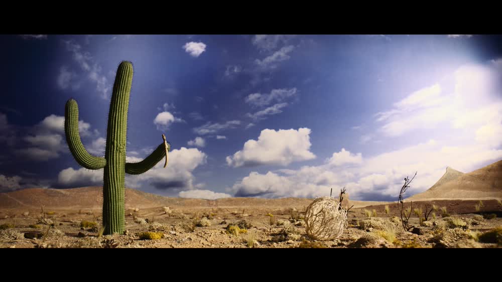 saguaro
