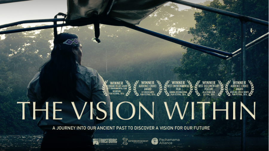 The Vision Within
