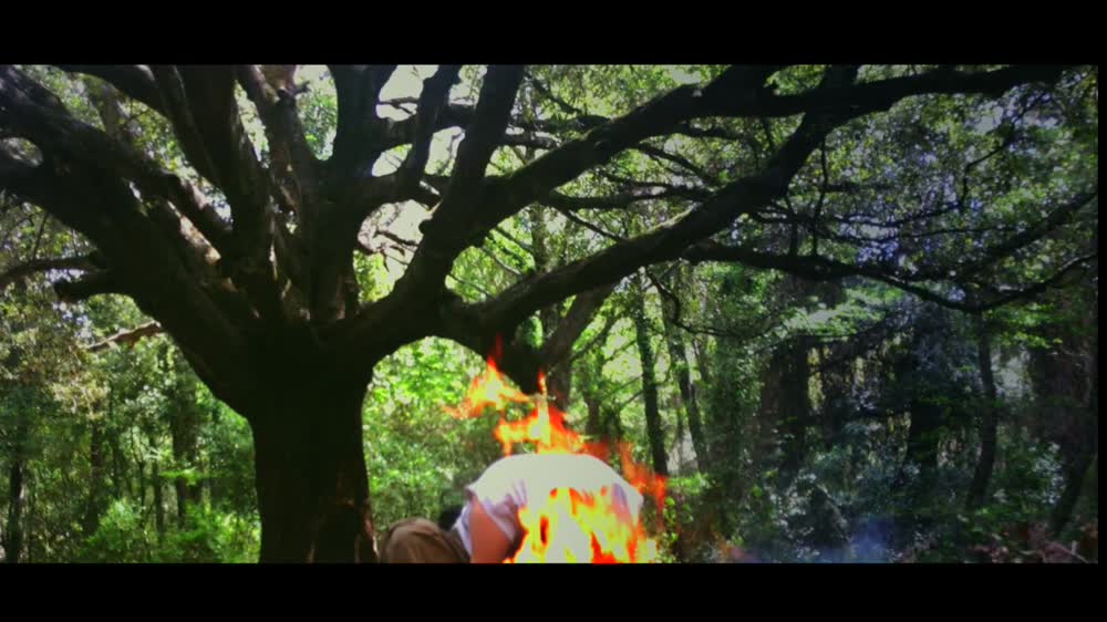 Thirteenth Tree XIII - Lost Brand