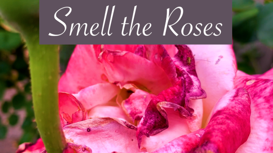 Smell the Roses