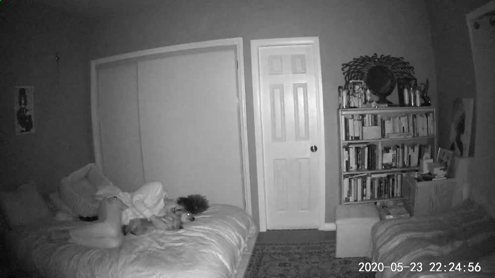 ORB ROOMIES