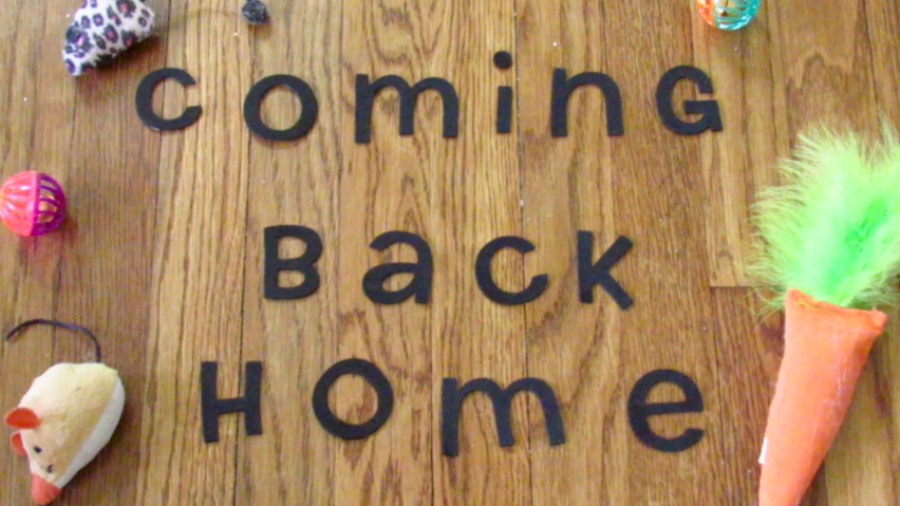 Coming Back Home
