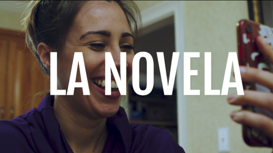 La Novela