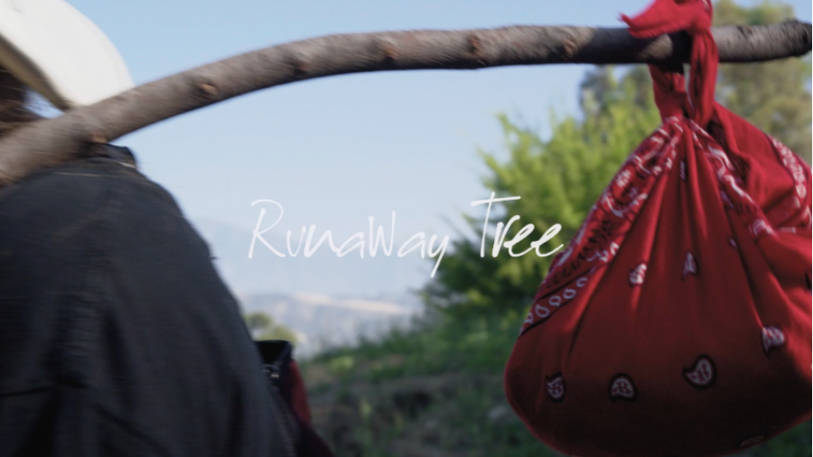 Runaway Tree