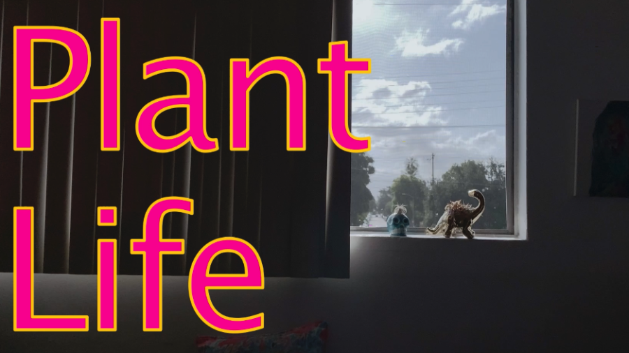 Plant Life