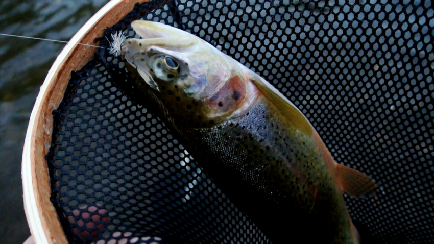 Real Montana Outdoor Adventures