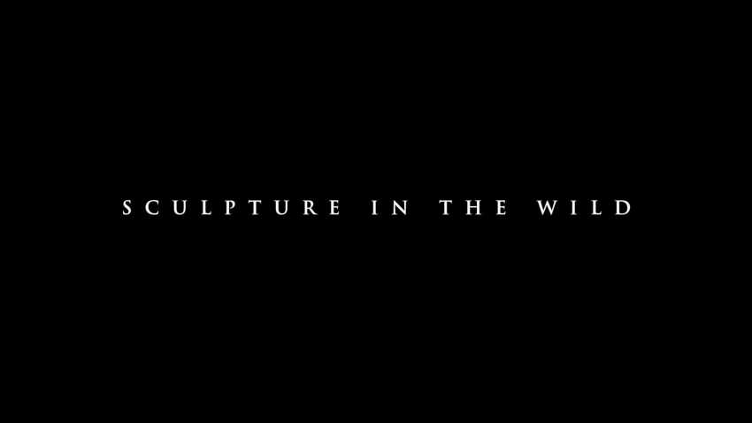 Sculpture in the Wild (1 minute teaser)