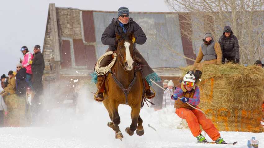 Serious Skijoring