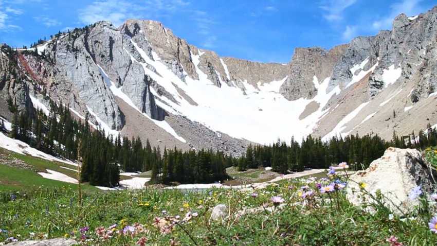 A Look at Montana