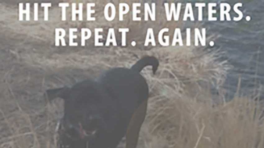 Hit the Open Waters. Repeat. Again.